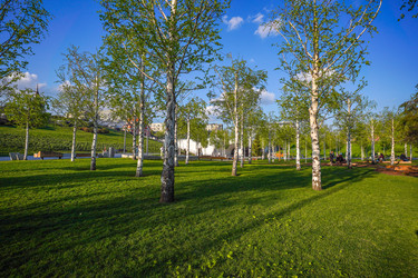 Similar image 21433918