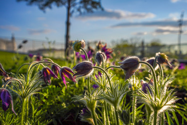 Similar image 21433919