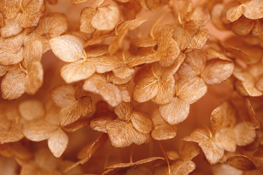 Similar image 21433825