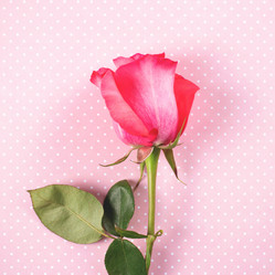 Similar image 21433826