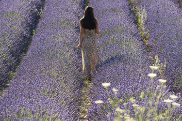 Similar image 21434417