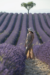 Similar image 21434422