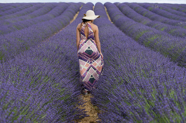 Similar image 21434435