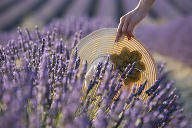 Similar image 21434439