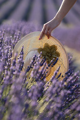 Similar image 21434440