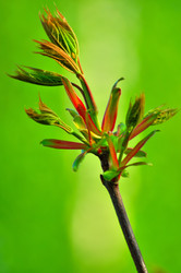 Similar image 21433830