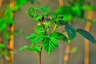 Similar image 21433832