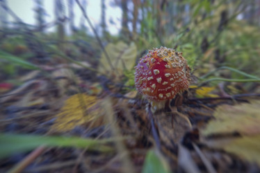 Similar image 21433834