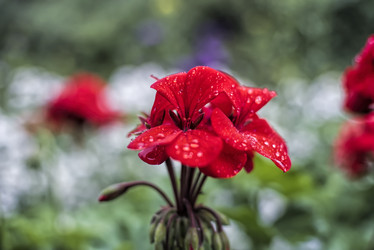 Similar image 21433835