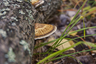 Similar image 21433836