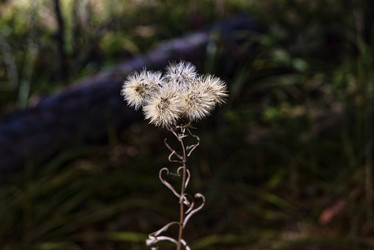 Similar image 21433837