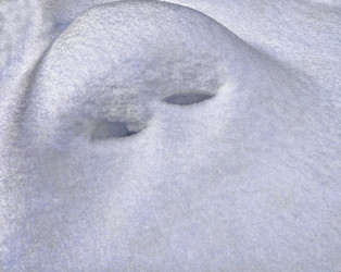 Similar image 21433838