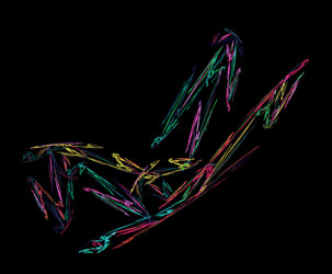 Similar image 21446189