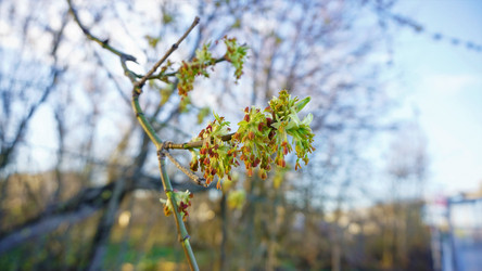 Similar image 21433839