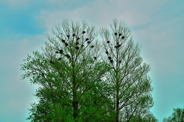 Similar image 21433841