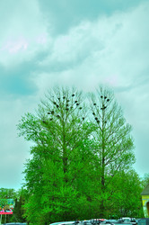 Similar image 21433842