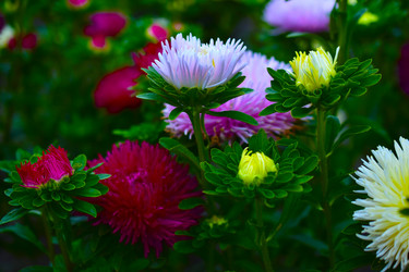 Similar image 21434448