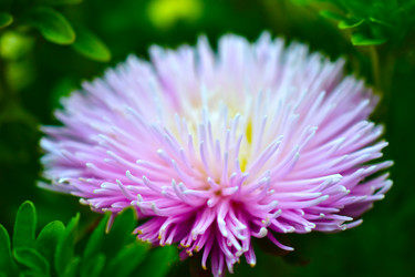 Similar image 21434449