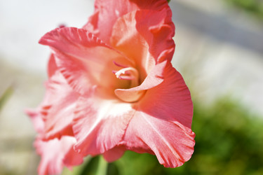 Similar image 21434452