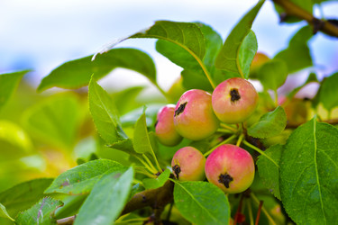 Similar image 21434454