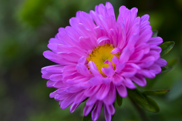 Similar image 21434456