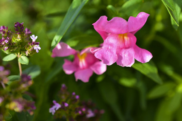 Similar image 21434457