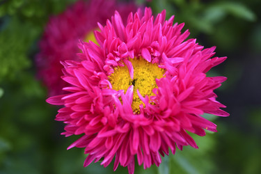 Similar image 21434459