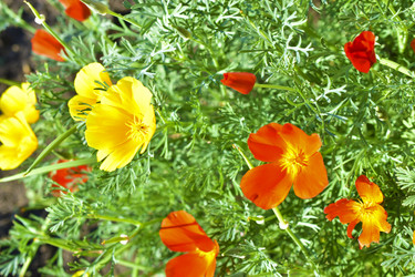 Similar image 21434460