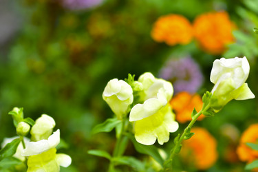 Similar image 21434466