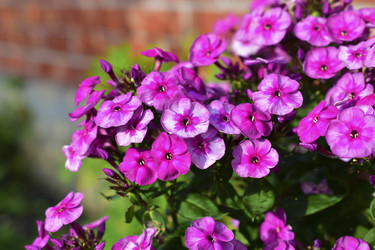 Similar image 21434468