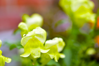 Similar image 21434470