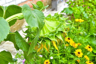 Similar image 21434473