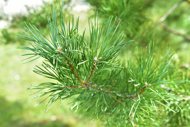 Similar image 21434482