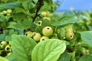 Similar image 21434484