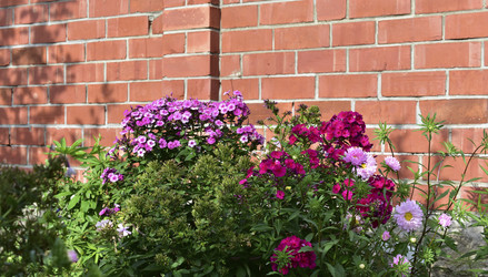 Similar image 21434485