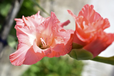 Similar image 21434487