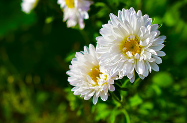 Similar image 21434488