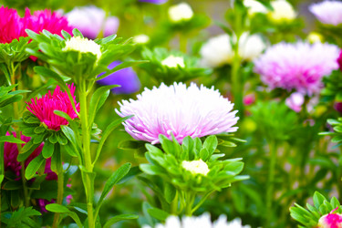 Similar image 21434489