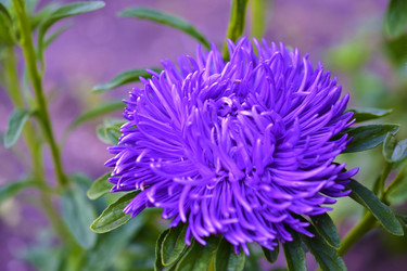 Similar image 21434490