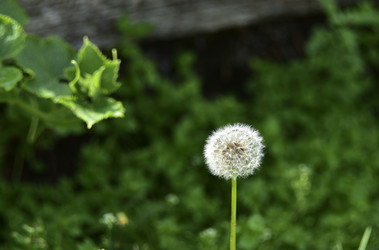 Similar image 21434491