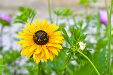 Similar image 21434492