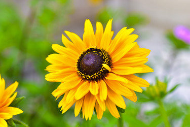 Similar image 21434493