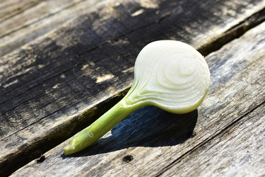 Similar image 21434496