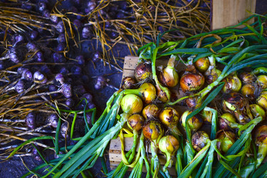 Similar image 21434498