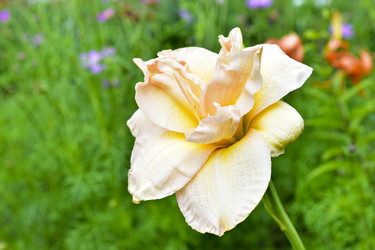 Similar image 21434501