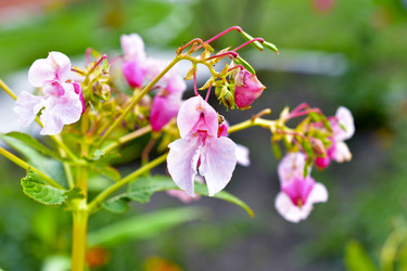 Similar image 21434504