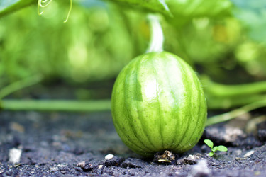 Similar image 21434510