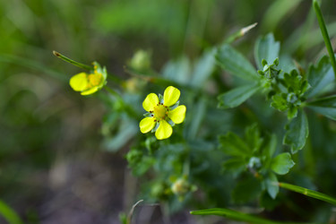 Similar image 21434512