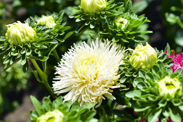 Similar image 21434513