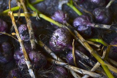 Similar image 21434515